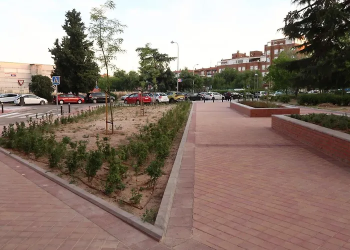 Ama Madrid Metropolitano 04